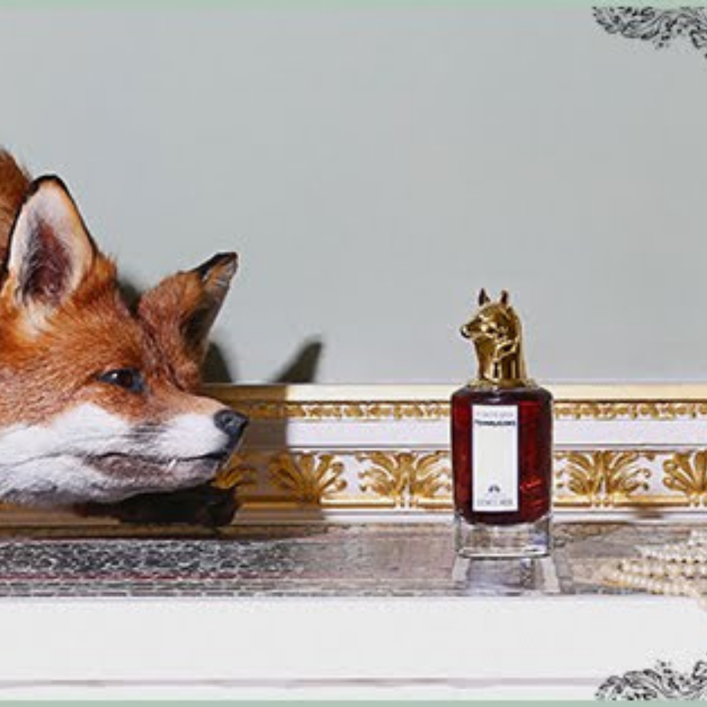 🟢The Coveted Duchess Rose