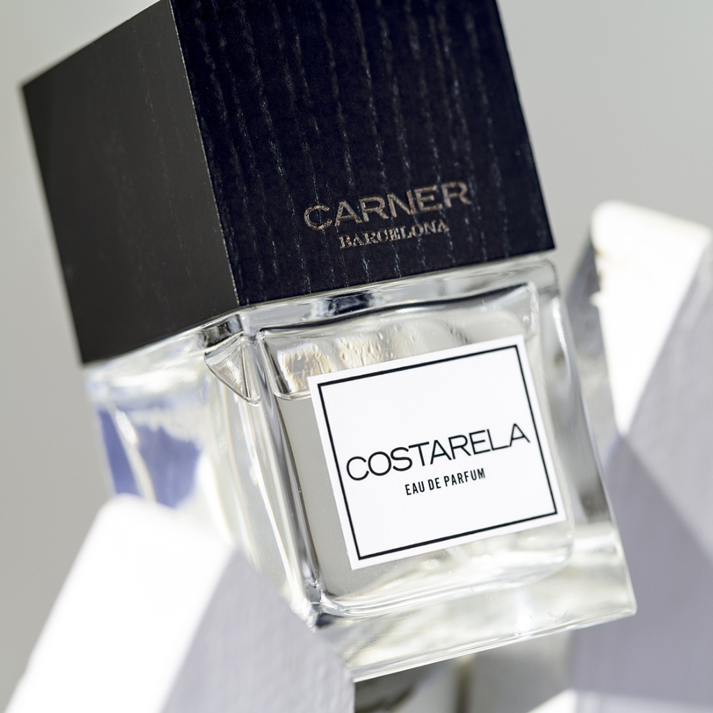 🟢Costarela