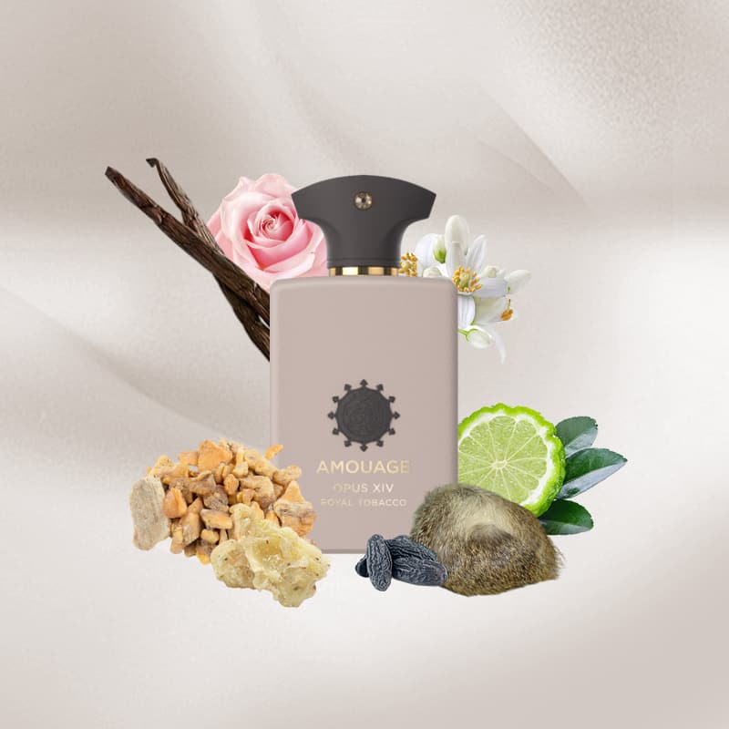 Amouage Opus XIV Royal Tobacco – Eau de Parfum 100ml (Unisex)