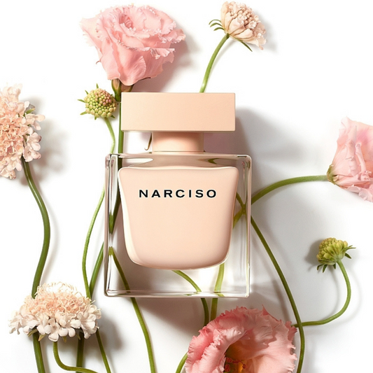 🟢Narciso Poudree