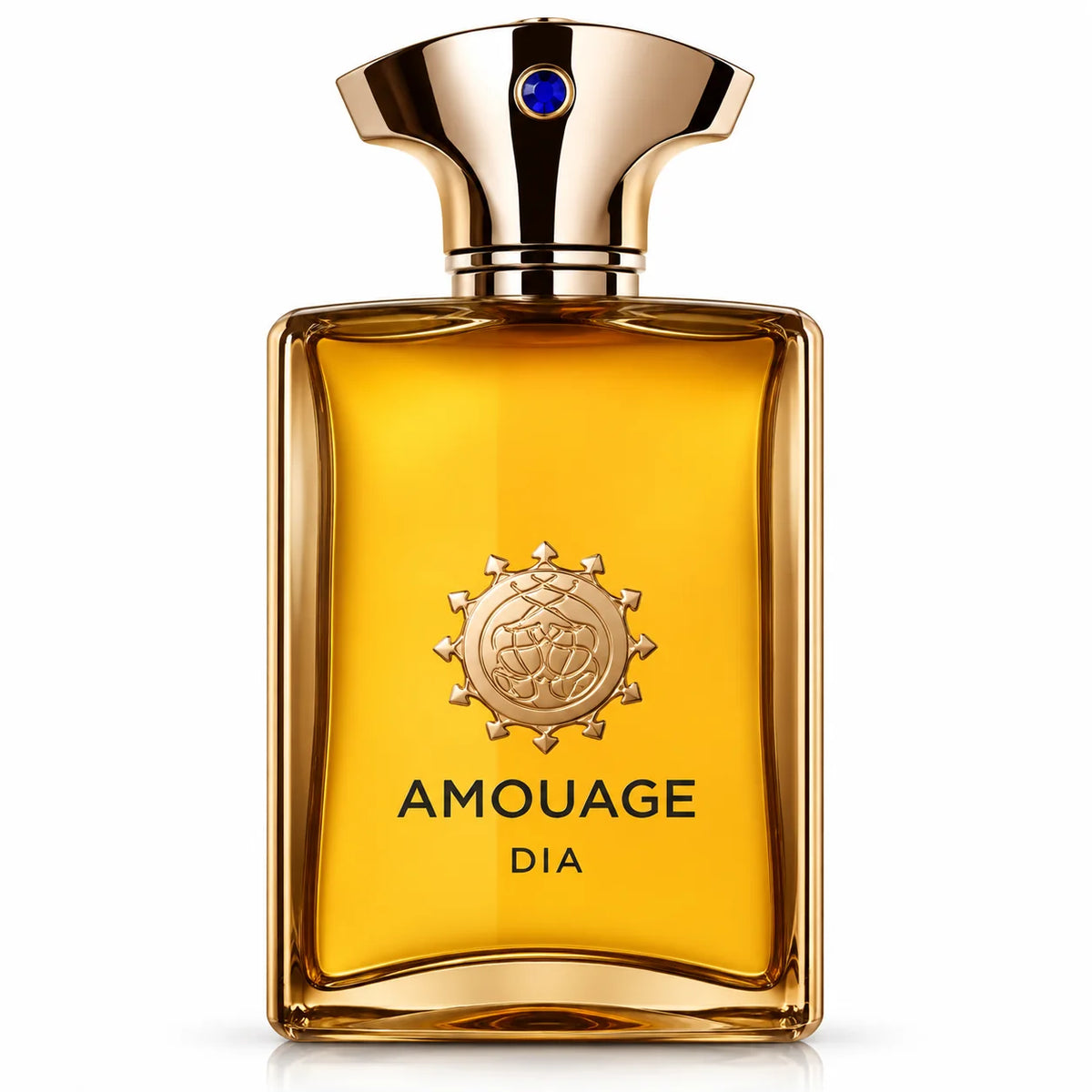 Amouage Dia Man 100 ML