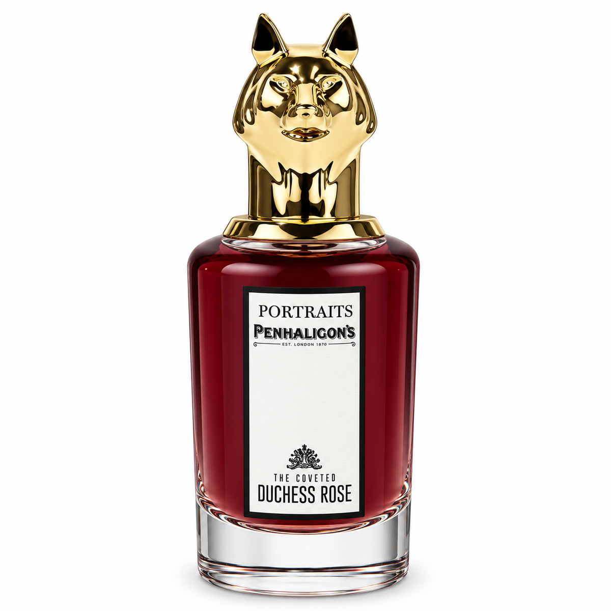 The Coveted Duchess Rose