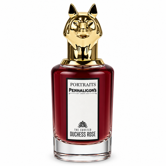 The Coveted Duchess Rose